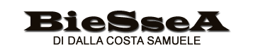 BSA