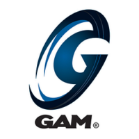 לוגו GAM Enterprises